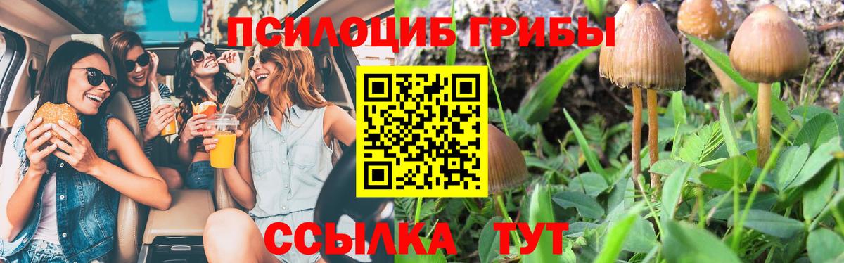 Галлюциногенные грибы Psilocybine cubensis  Вход с VPN  Муром 