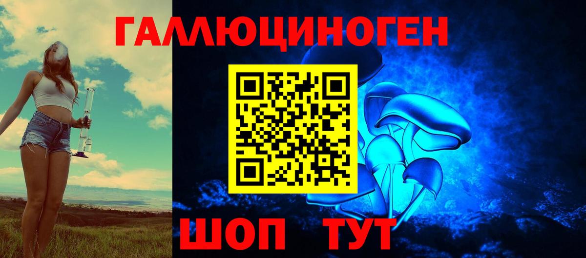 Галлюциногенные грибы GOLDEN TEACHER Муром