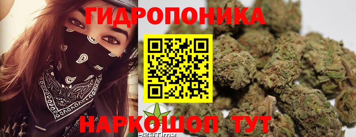 Шишки марихуана индика Муром